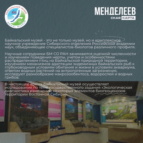 Байкальский музей стал партнером проекта Менделеевская карта - 2 слайд