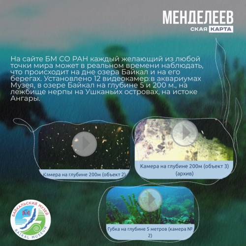 Байкальский музей стал партнером проекта Менделеевская карта - 3 слайд