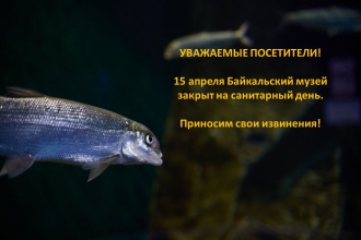Cанитарный день