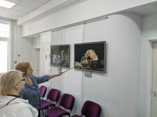 Тематические занятия для гостей музея из Республики Бурятия - 3 слайд