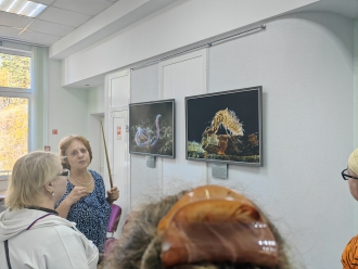 Миниатюра - 2 слайд