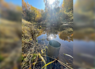 Миниатюра - 6 слайд