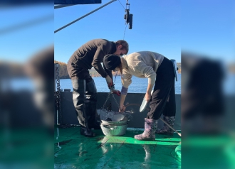 Миниатюра - 2 слайд