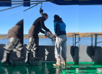 Миниатюра - 4 слайд