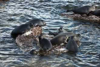 Миниатюра - 4 слайд