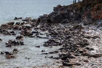 Миниатюра - 6 слайд