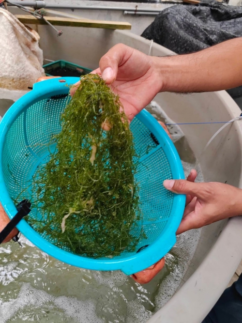 Байкальский музей продолжает развивать сотрудничество с восточно-азиатскими странами - 6 слайд