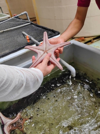 Миниатюра - 5 слайд